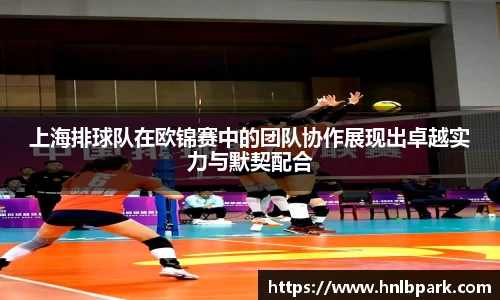 77体育官方网站
