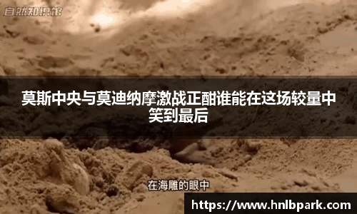 77体育官方网站